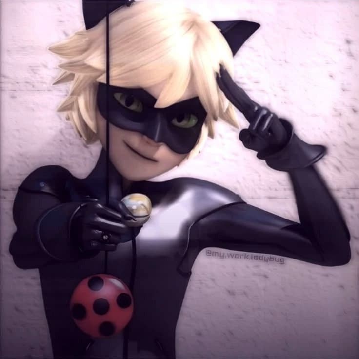 Cat noir thumbnail