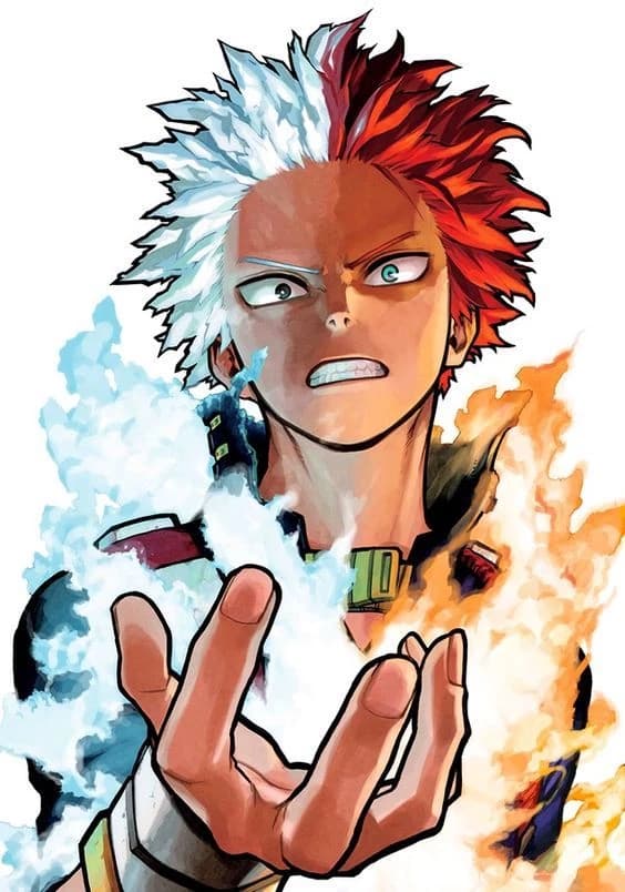 Shoto Todoroki thumbnail