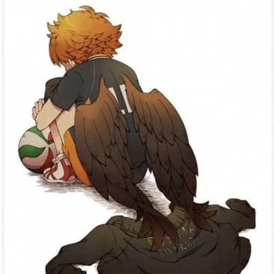 Shoyo hinata thumbnail