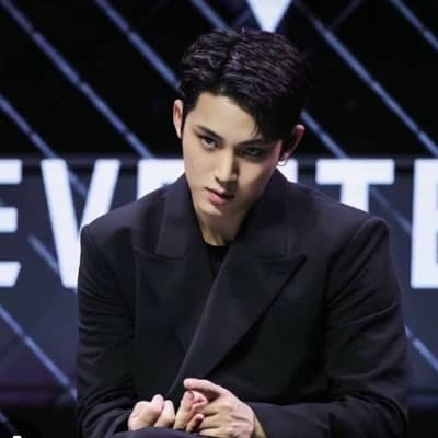 Kim Mingyu thumbnail