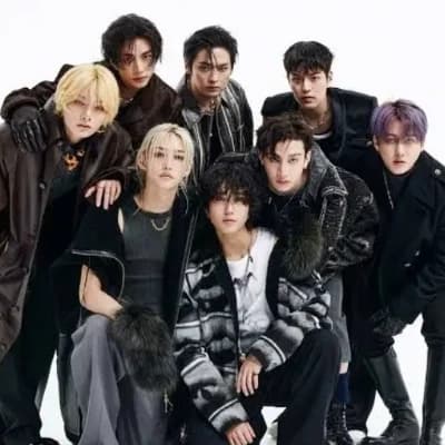 Minho,han,hyunjin, felix,chan,seugmin, changbin, i.n thumbnail