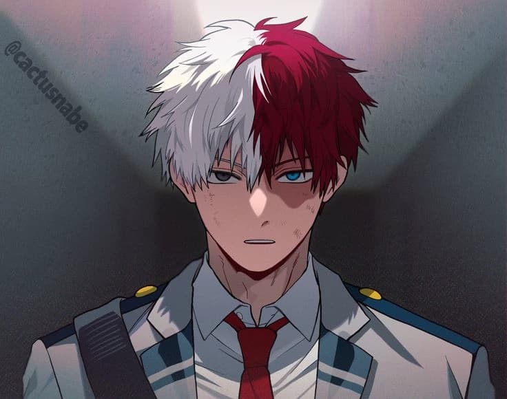 Shot Todoroki thumbnail