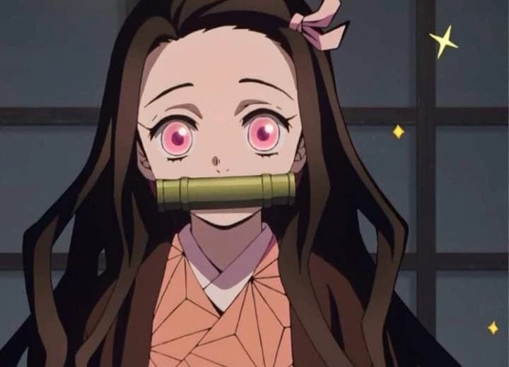 NEZUKO KAMADO thumbnail
