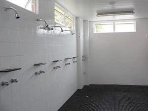 Collective shower thumbnail