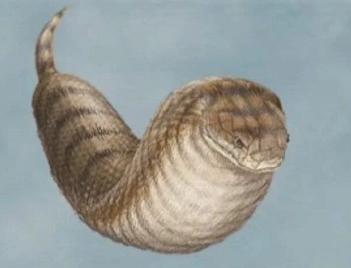 † TSUCHINOKO † thumbnail
