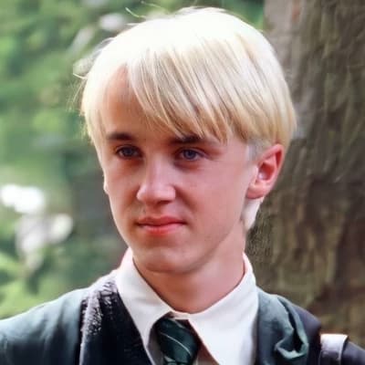 Draco Malfoy/Bl/MLM thumbnail