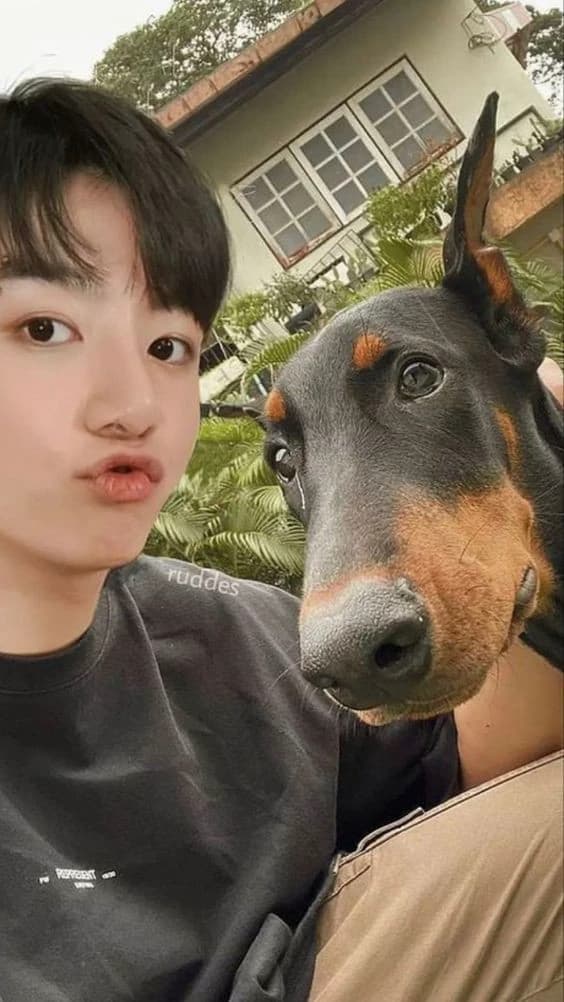 Jeon Jungkook thumbnail