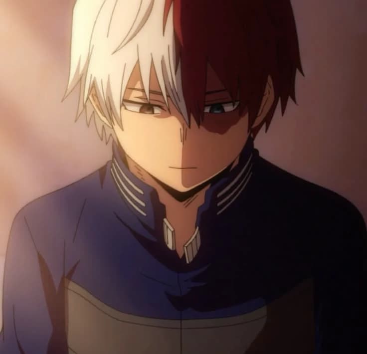Shoto and momo thumbnail