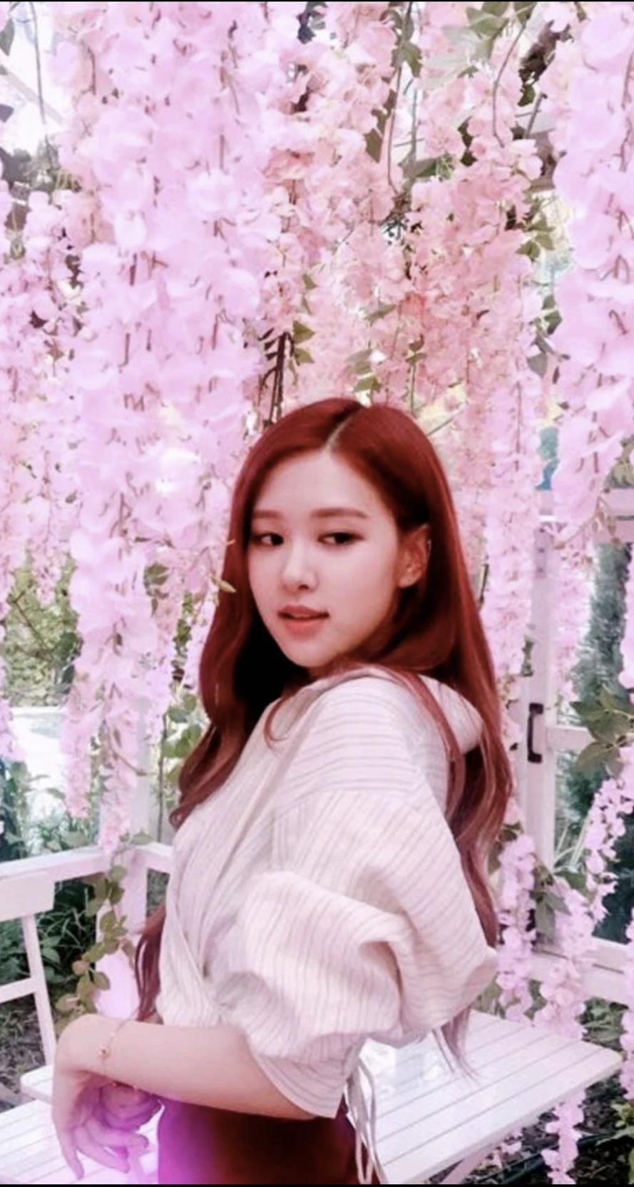 Rosé Pak thumbnail