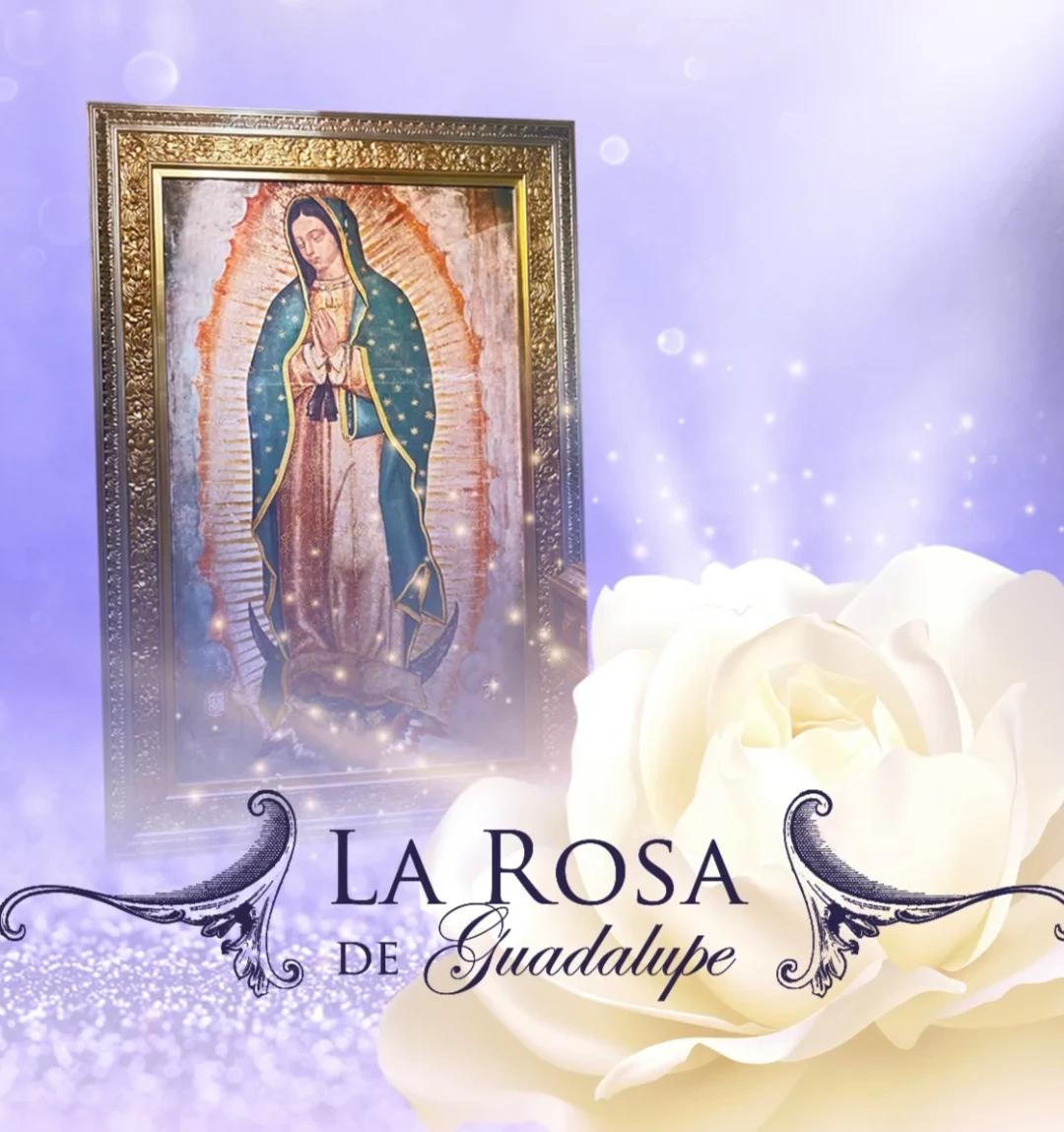 The rose of Guadalupe thumbnail