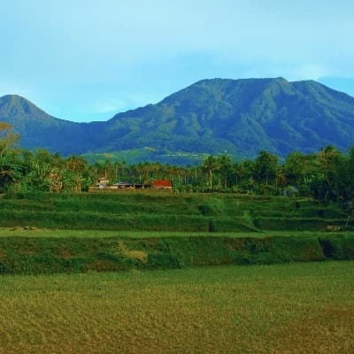 Quezon Phillipines thumbnail