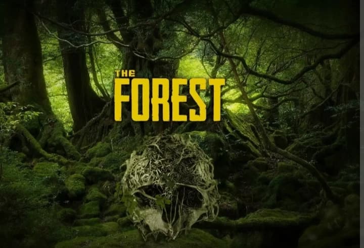 "FOREST" thumbnail
