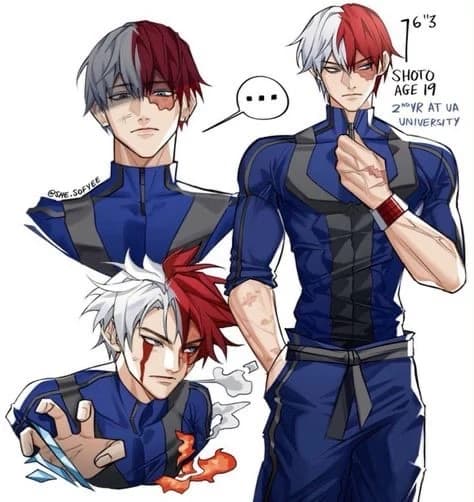 Shoto Todoroki  thumbnail
