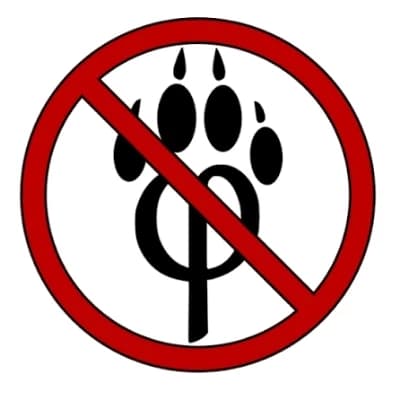 Hate furry thumbnail