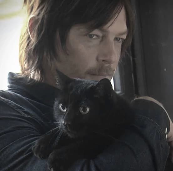 Daryl Dixon/TWD thumbnail