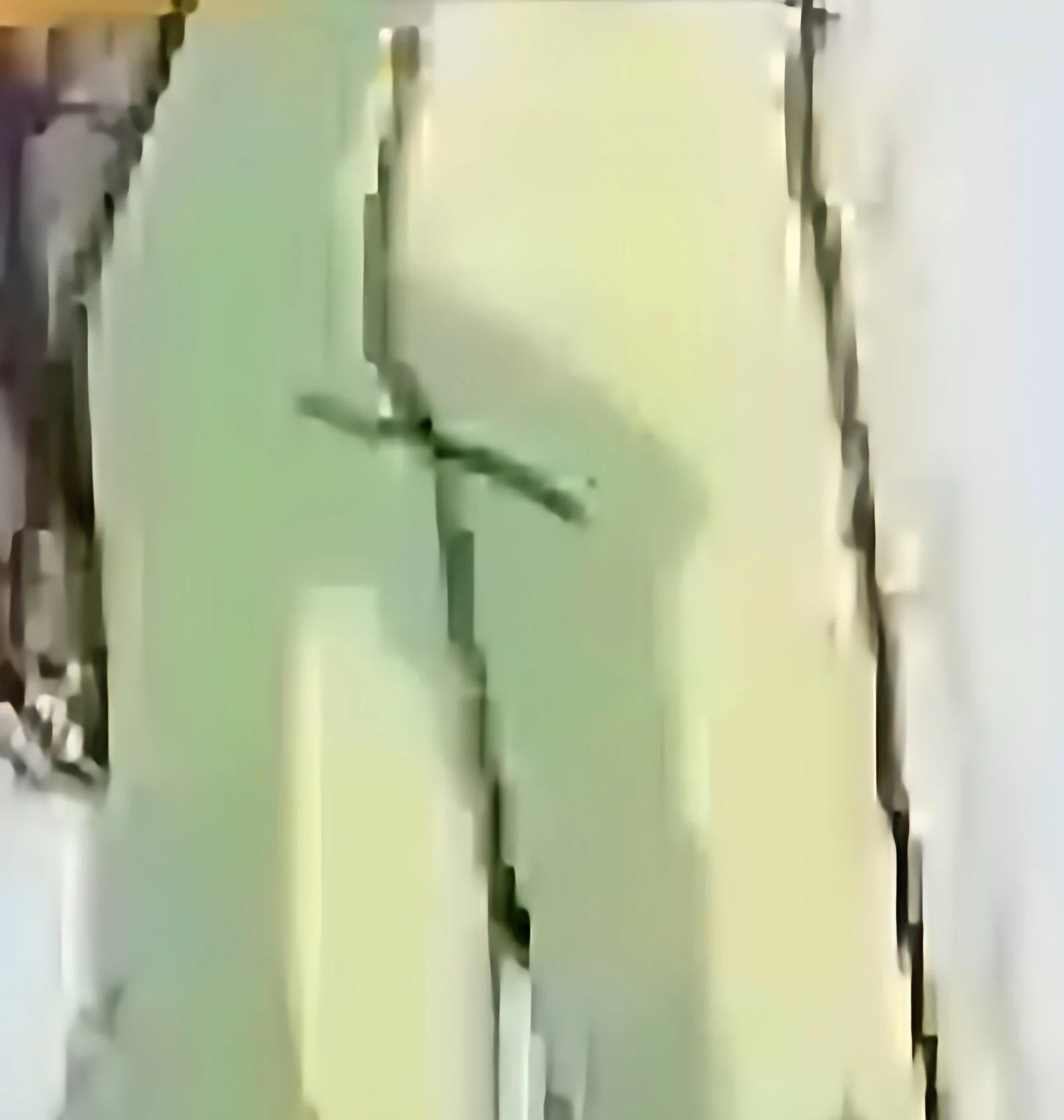 Hay Lin's Talking Butt thumbnail