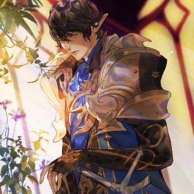 Ser Aymeric de Borel thumbnail