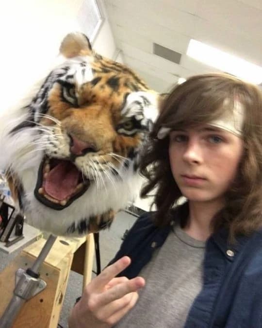 Chandler Riggs thumbnail
