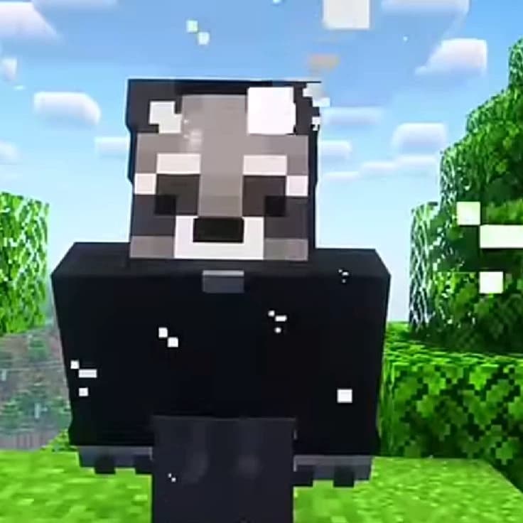 Towi argentino thumbnail
