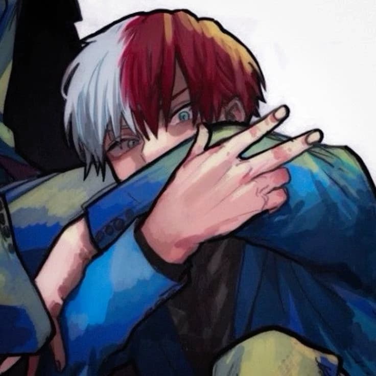shoto's todorokis (broken worlds) thumbnail
