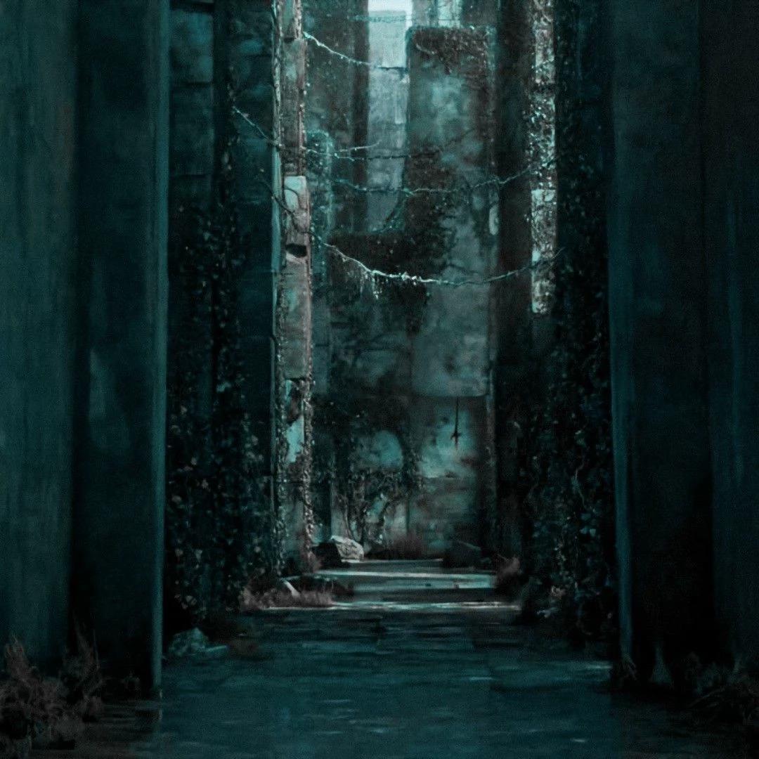 NEWT - THE MAZE RUNNER (Avant les films) thumbnail