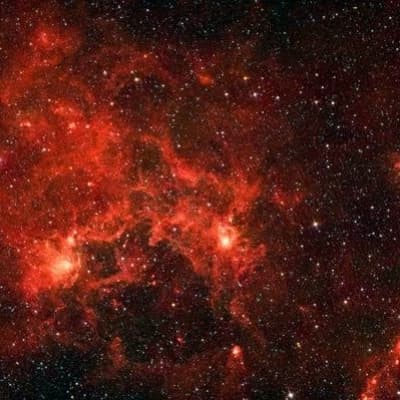 Cosmic Wild Pink thumbnail