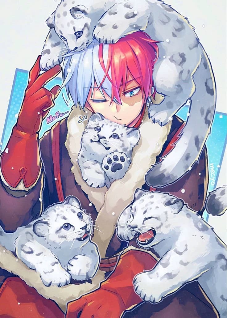 Shoto Todoroki/Snow Kitten~ thumbnail
