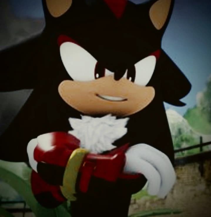 ★ Shadow x Sonic ★ thumbnail