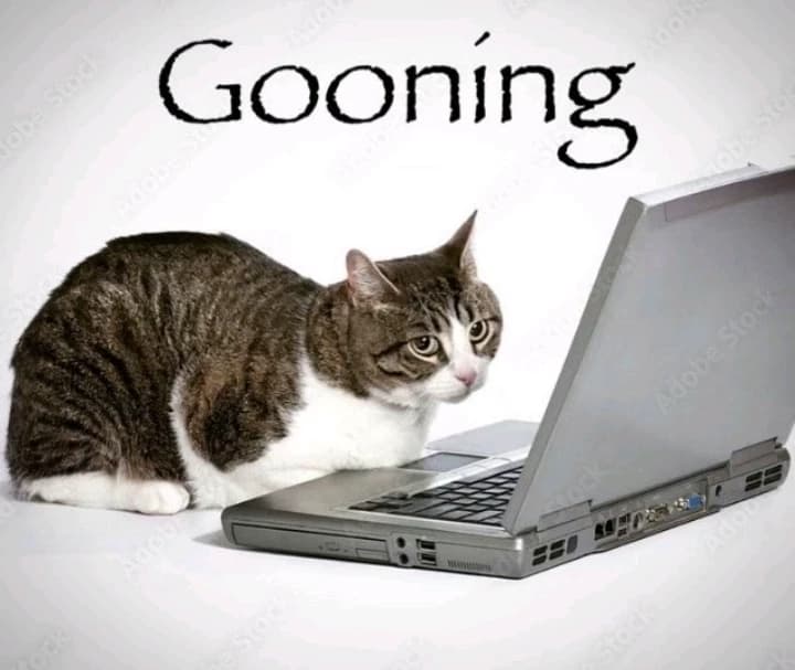This bot can be used for anything thumbnail