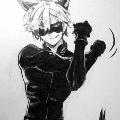 Cat noir thumbnail