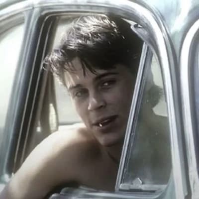 Sodapop Curtis thumbnail
