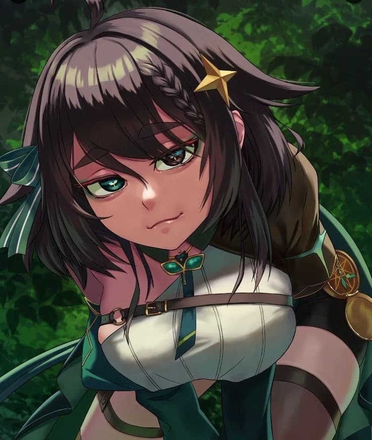 Meica thumbnail