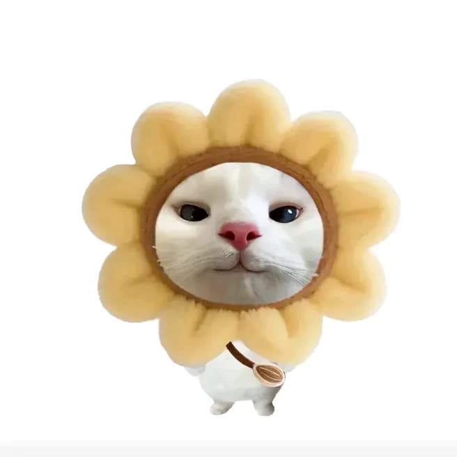 Sunflower thumbnail
