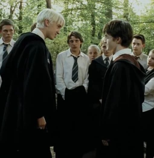 Harry Potter and Draco Malfoy  thumbnail