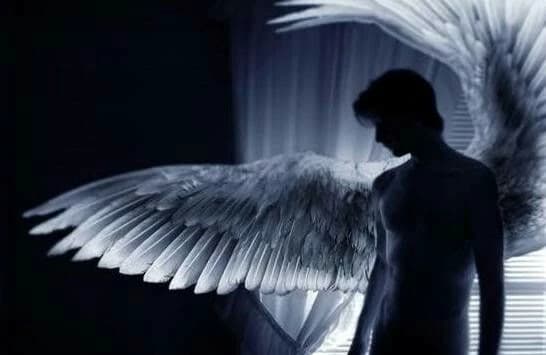 Icarus  thumbnail