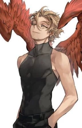 Hawks mha thumbnail