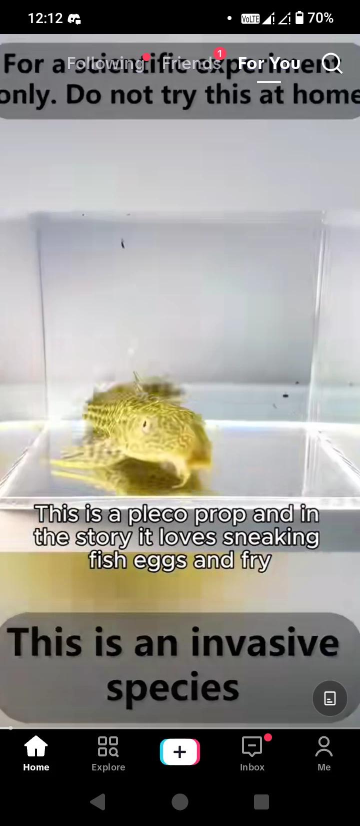 Pleco Pool thumbnail