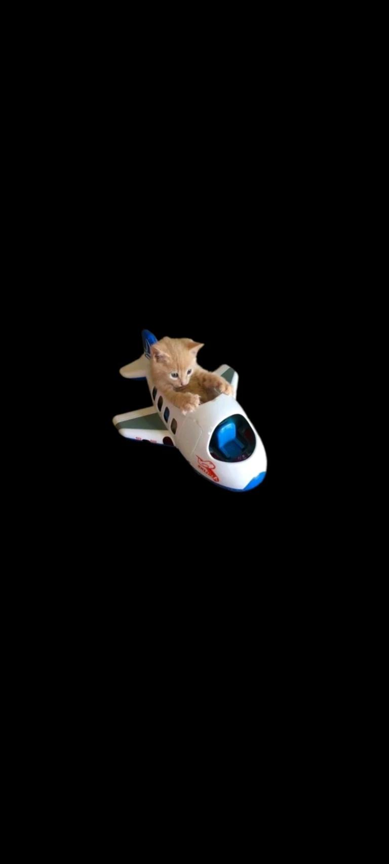 A Better World (for You) thumbnail