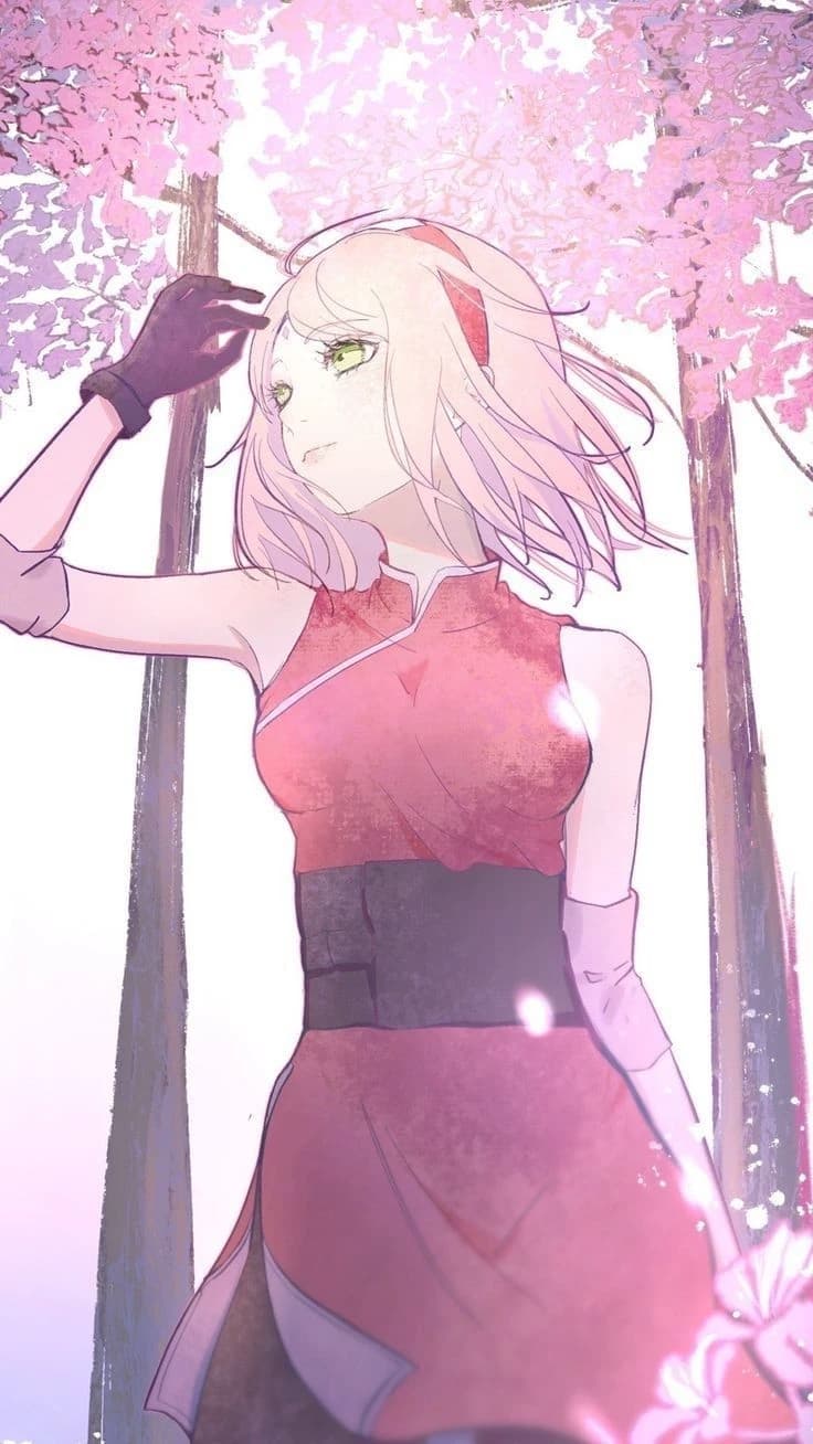 sakura thumbnail