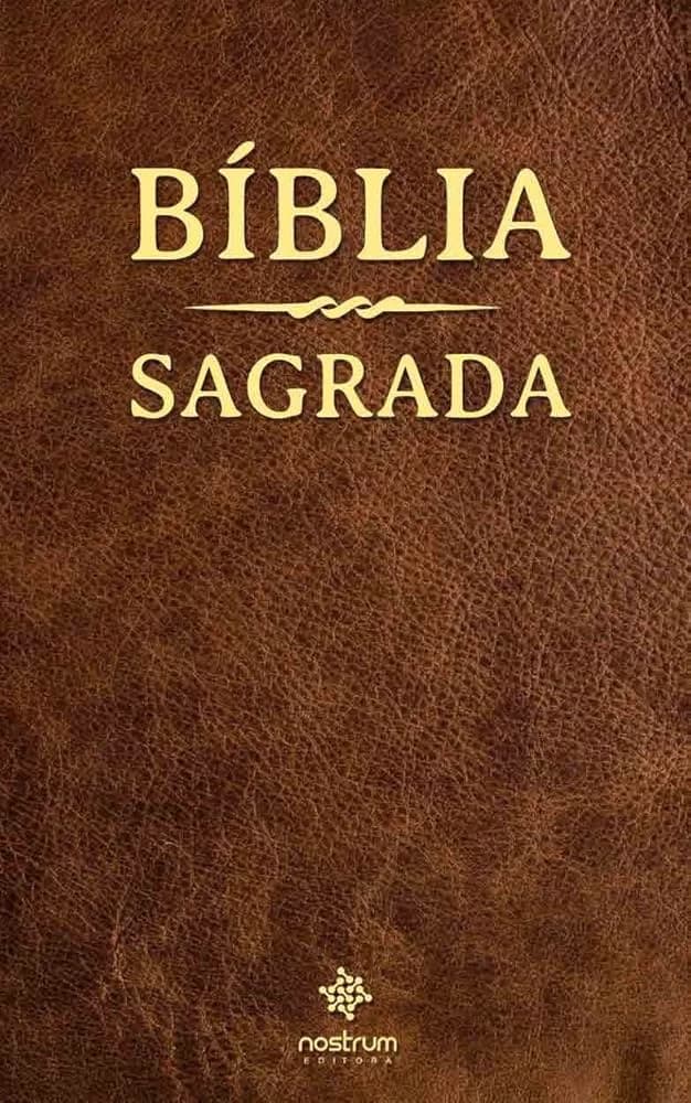 Holy Bible thumbnail