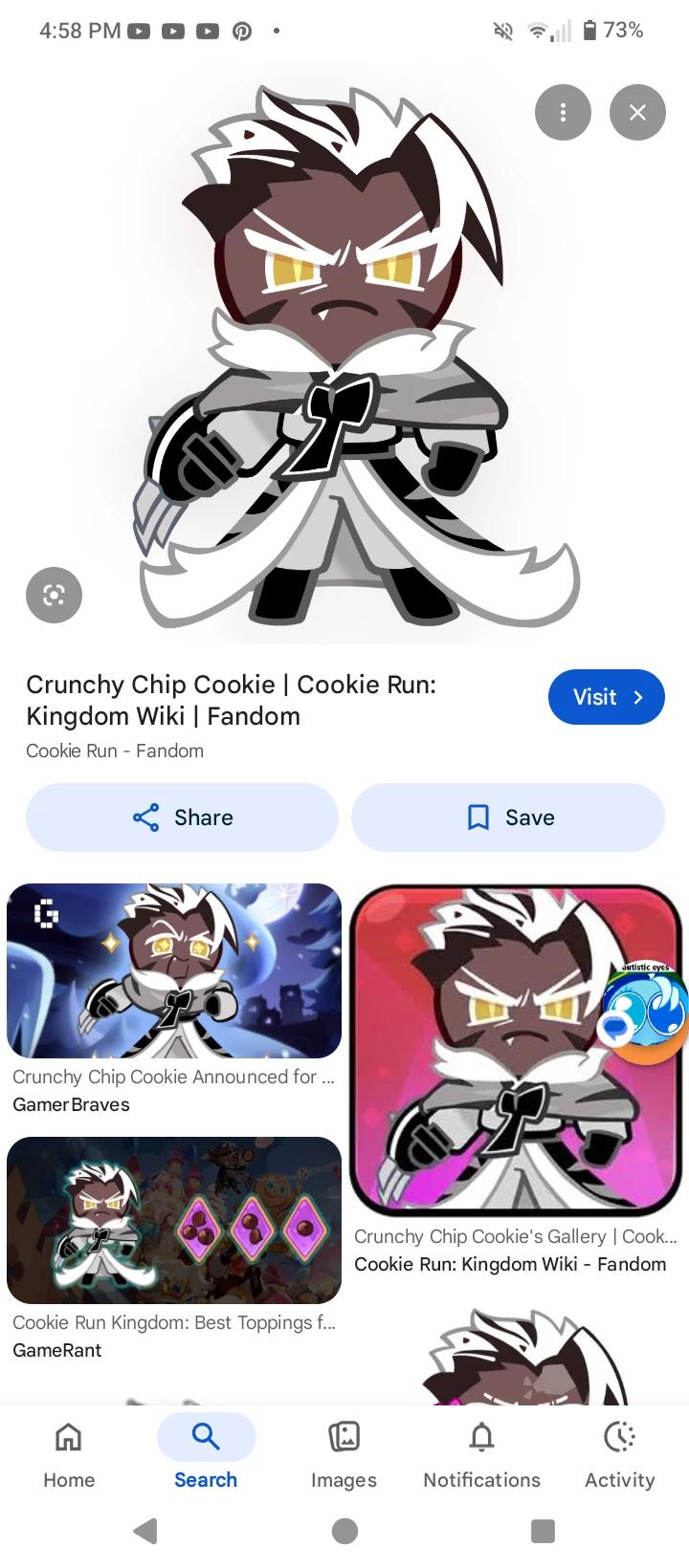 Crunchy chip cookie thumbnail