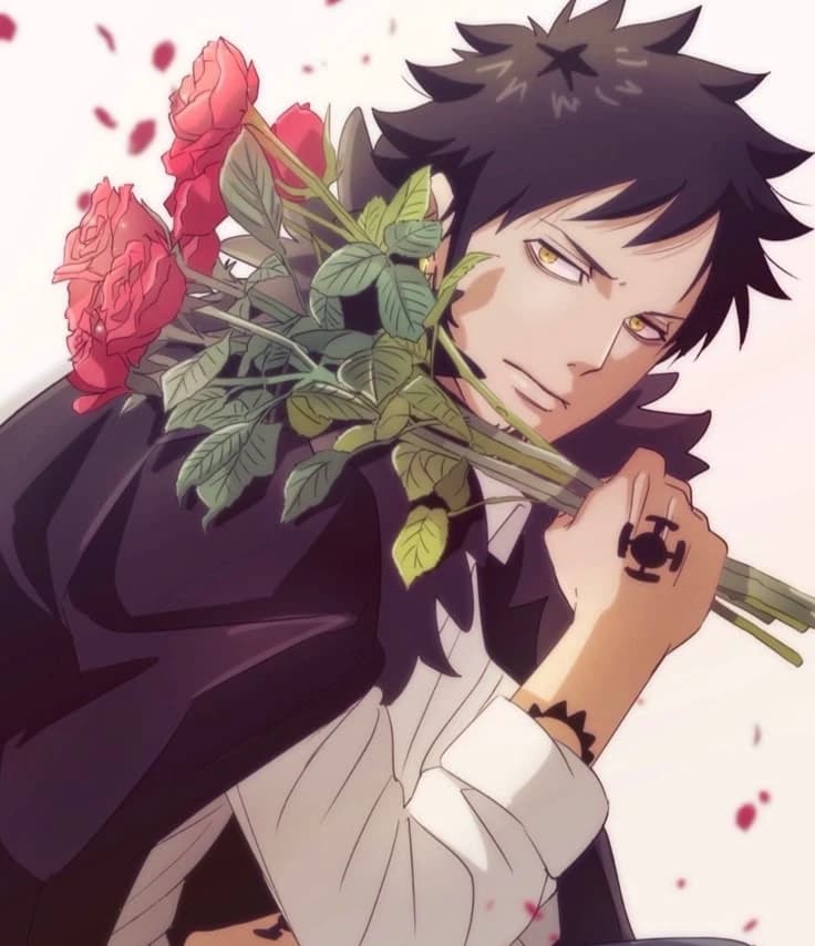 Trafalgar law Valentine's Day thumbnail