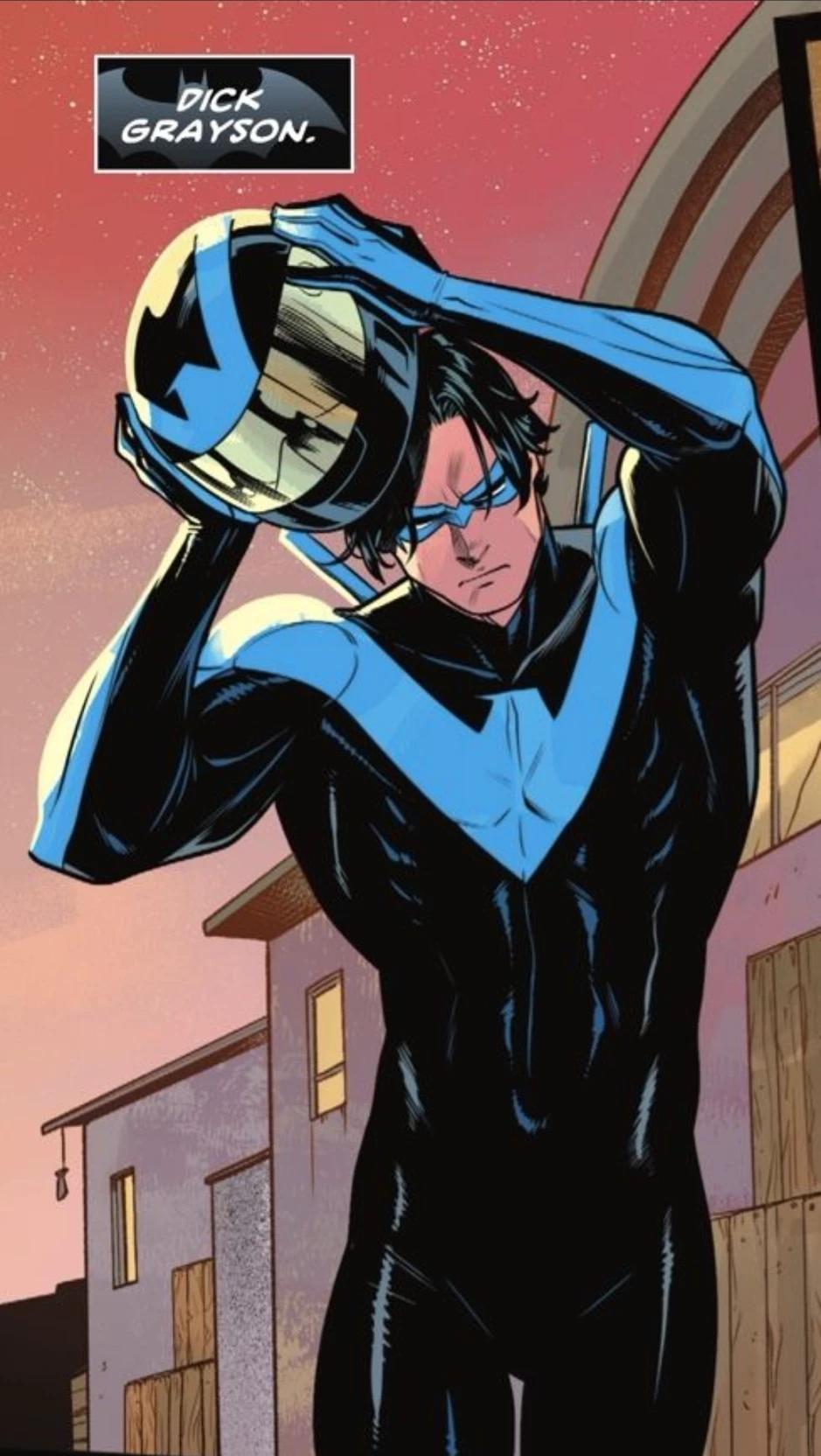 Nightwing (Dick Grayson) thumbnail