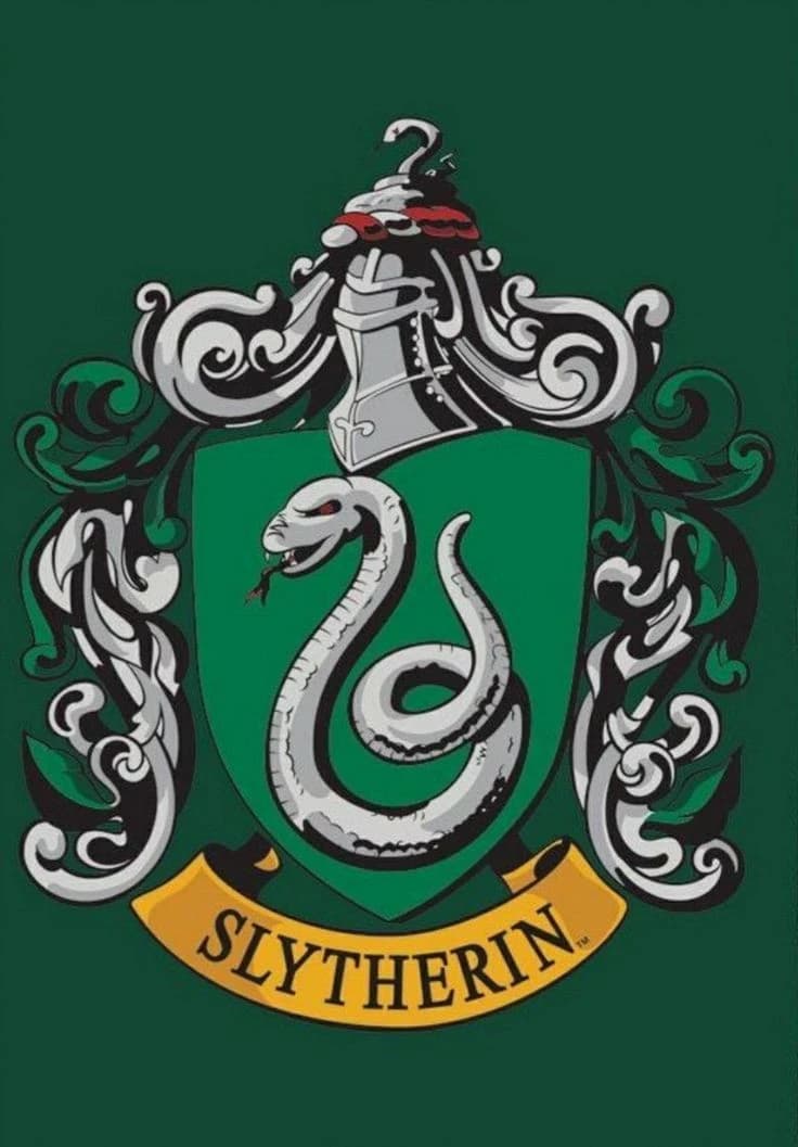 Slytherin 🐍💚 thumbnail