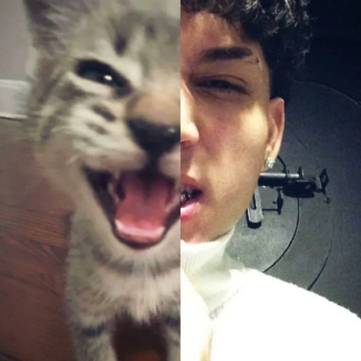 Zellwow thumbnail