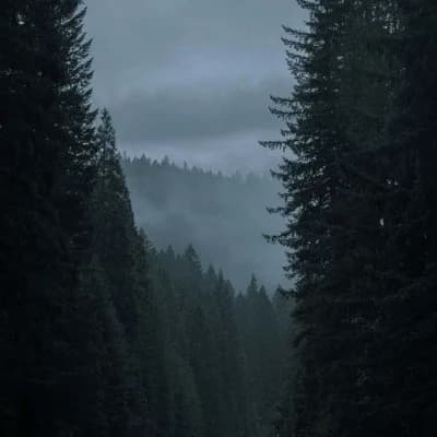 Twilight thumbnail