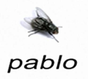 Pablo thumbnail