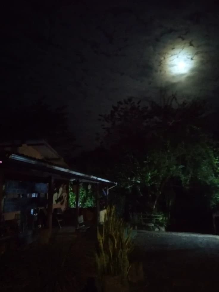 Haunted site thumbnail