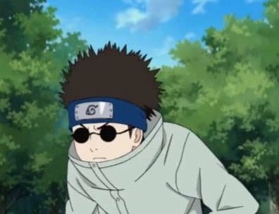 Shino aburame thumbnail
