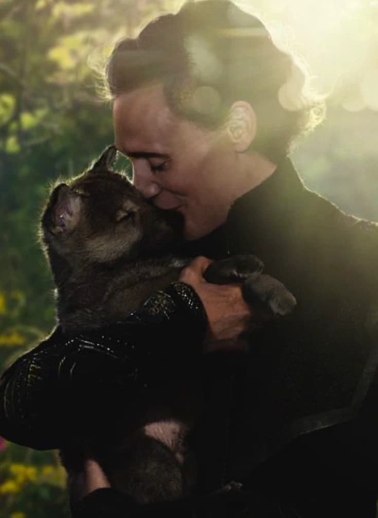 Tom Hiddleston thumbnail